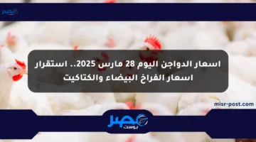 أسعار الدواجن اليوم 28 مارس 2025.. استقرار أسعار الفراخ البيضاء والكتاكيت